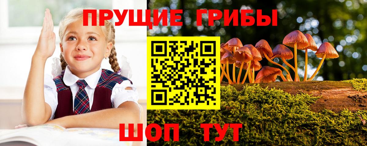Псилоцибиновые грибы прущие грибы Дзержинский